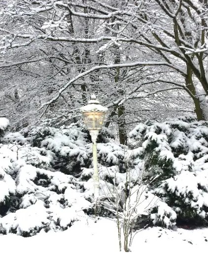 Verschneite Straßenlaterne vor verschneiten Sträuchern und Bäumen
(c) fritz böhme galerie eyegenart