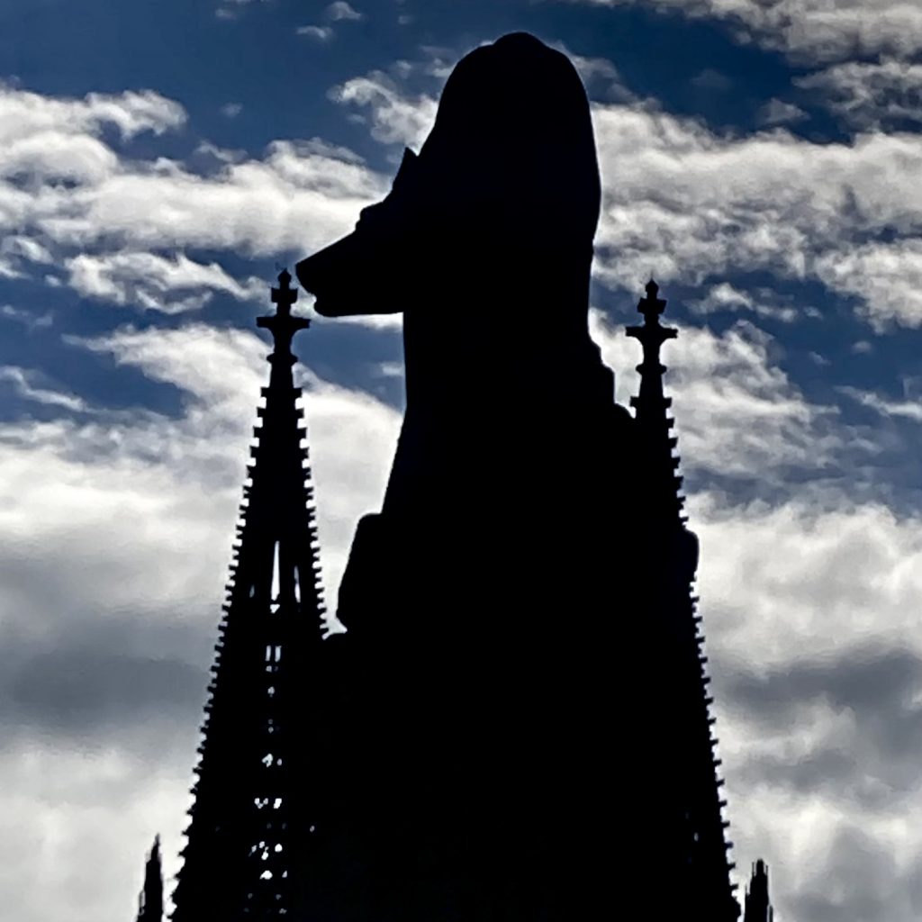 18.07.2024
Monument of the Roman she-wolf (Lupa Romana) in front of the towers of Cologne Cathedral / Denkmal der römischen Wölfin (Lupa Romana) vor den Türmen des Kölner Doms