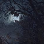 Vollmond über Köln-Mülheim 05.12.2025